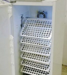 Как сделать из холодильника инкубатор