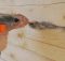 Как убрать щели между бревен в деревянном доме
