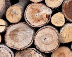 Защита древесины: от плесени, гниения, грибка, огня, влаги