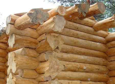 История деревянного зодчества