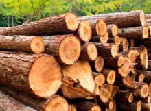 Фумигация древесины и пиломатериалов, способы, преимущества
