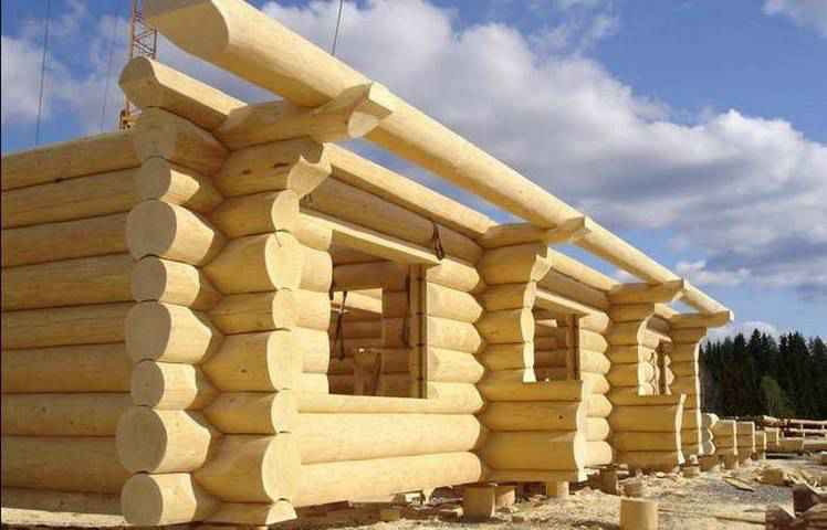 Этапы строительства деревянного дома от А до Я